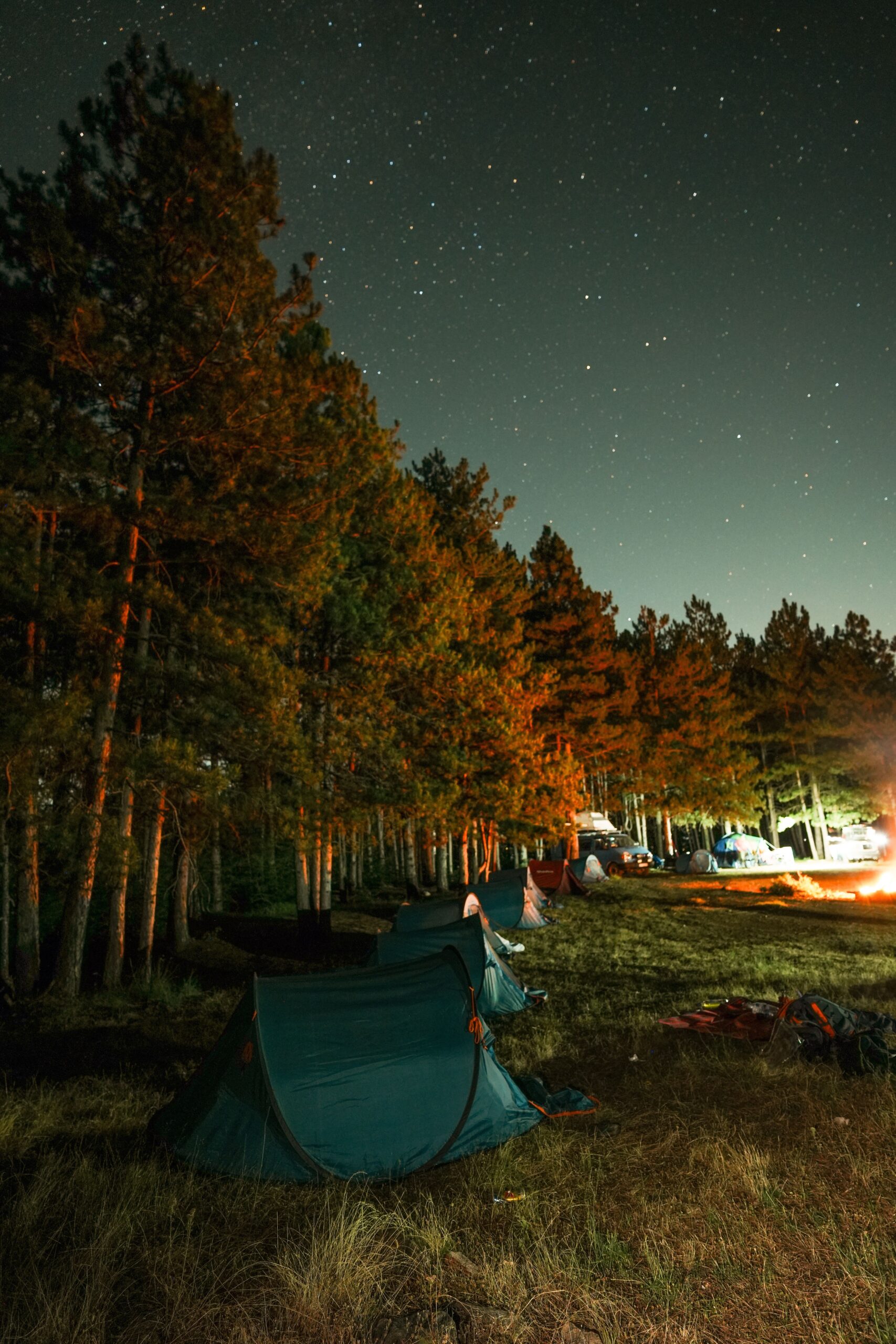 Camping tents under a starry night sky beside a forest campsite with a glowing campfire